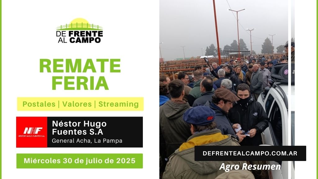 Remate Feria de Néstor H. Fuentes S.A. | General Acha, La Pampa  | Miércoles 30/07/2025