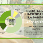 El gráfico de "De Frente al Campo" que muestra la distribución de las 30.283 cabezas subastadas en los remates de La Pampa en agosto.