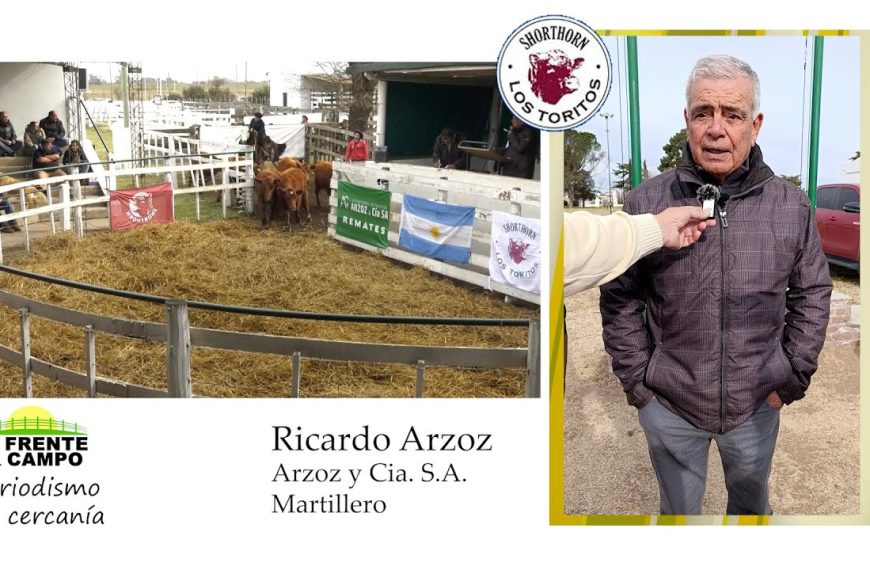 Entrevista: Ricardo y Tomás Arzoz analizaron el remate cabaña Los Toritos