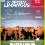 5° Remate Limangus | Saenz Valiente, Bullrich | 9 de Julio, Buenos Aires | Próximo Remate Feria el sábado 30 de agosto de 2025