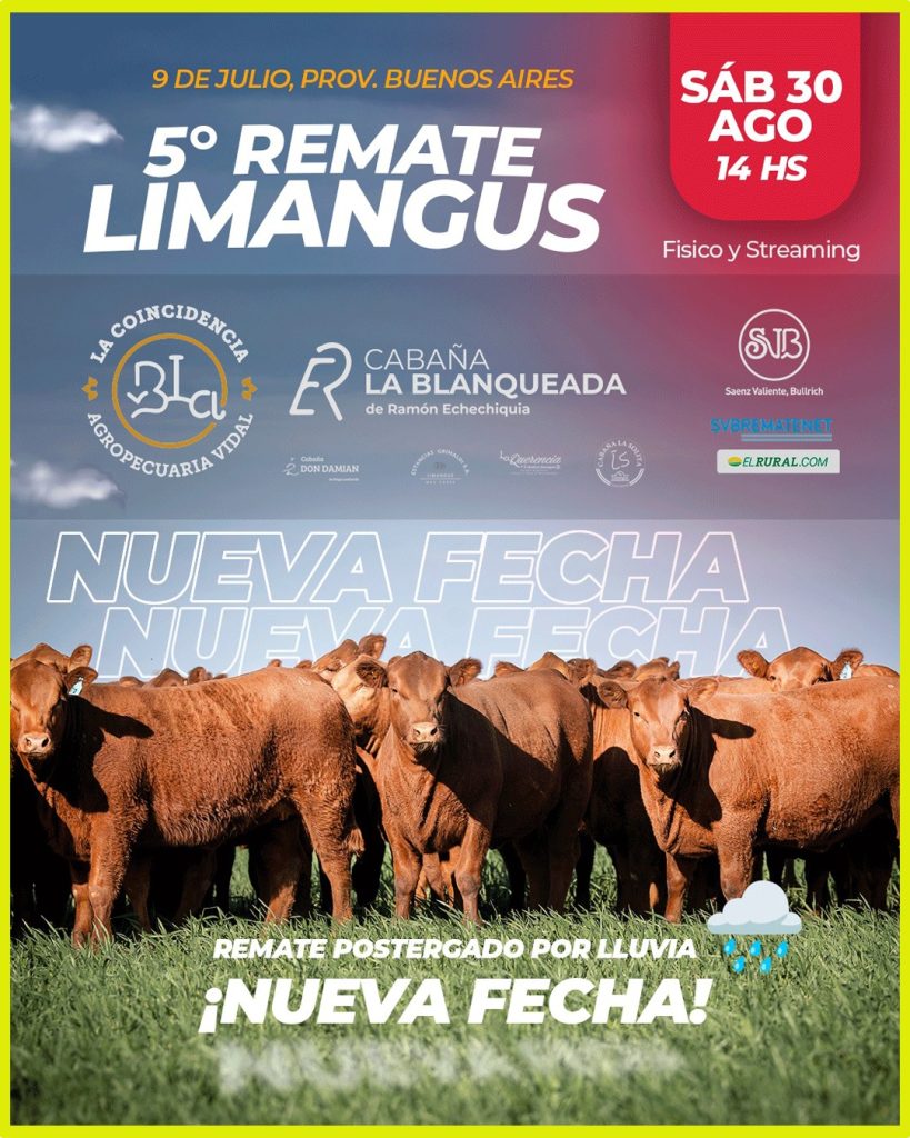 Remate feria Saenz Valiente Bullrich 9 de Julio 30 agosto 2025 con toros y vaquillonas