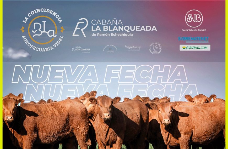5° Remate Limangus | Saenz Valiente, Bullrich | 9 de Julio, Buenos Aires | Próximo Remate Feria el sábado 30 de agosto de 2025
