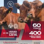 Genética L’Arachide | Talano | General Cabrera, Córdoba | Próximo Remate Feria el viernes 15 de agosto de 2025