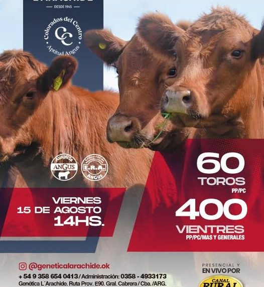 Genética L’Arachide | Talano | General Cabrera, Córdoba | Próximo Remate Feria el viernes 15 de agosto de 2025