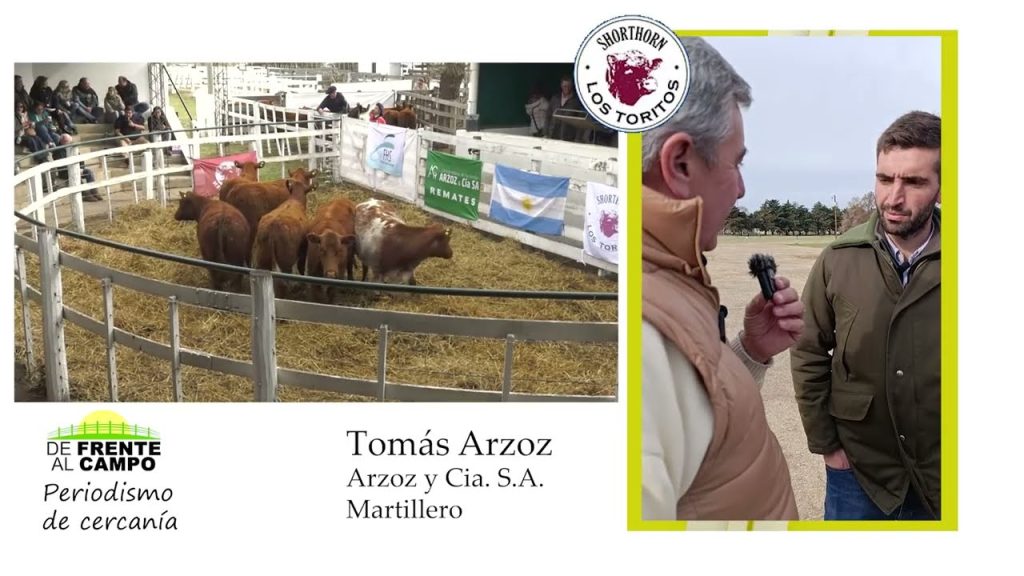 Ricardo y Tomás Arzoz, martilleros y consignatarios, durante el 6° remate de Cabaña Los Toritos Shorthorn en Salliqueló, agosto 2025, donde destacaron los valores obtenidos en vientres y la presencia de compradores regionales.