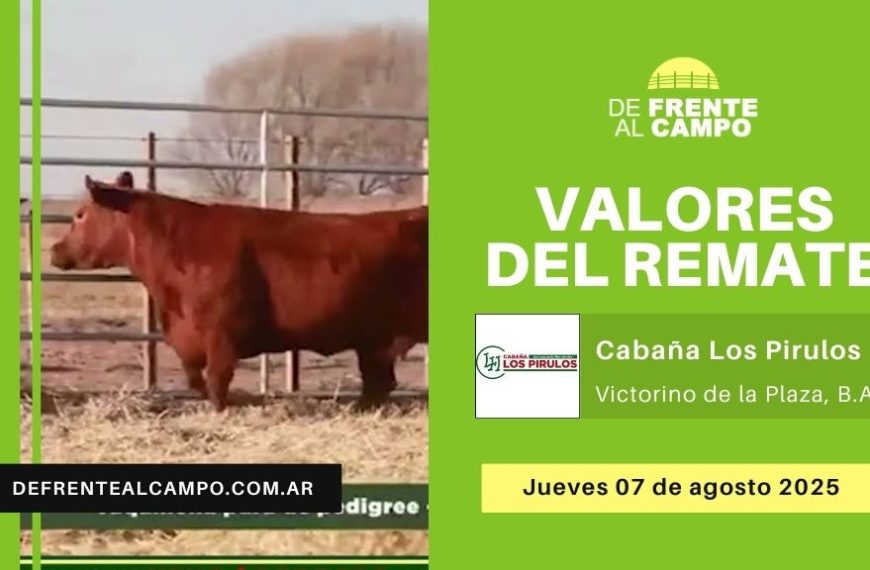 Valores del remate de Cabaña Los Pirulos | Victorino de la Plaza, Buenos Aires | Jueves 07/08/2025