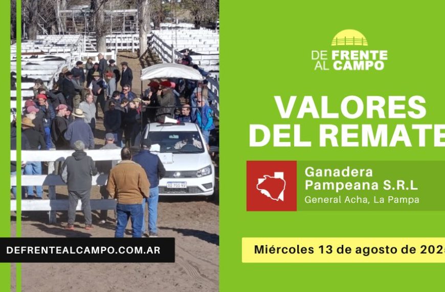 Valores del remate de Ganadera Pampeana SRL | General Acha, La Pampa | Miércoles 13/08/2025
