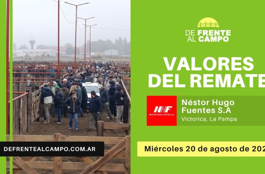 Valores del remate de Néstor H. Fuentes S.A. | Victorica, La Pampa | Miércoles 20/08/2025