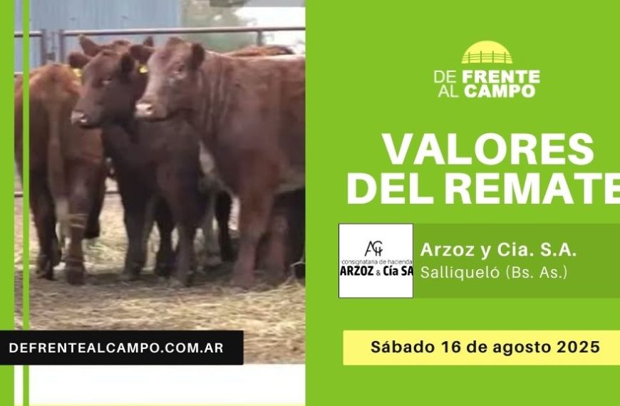 Valores del remate de Cabaña Los Toritos – Arzoz & Cía S.A. | Salliqueló (Bs. As.) | Sábado 16/08/2025