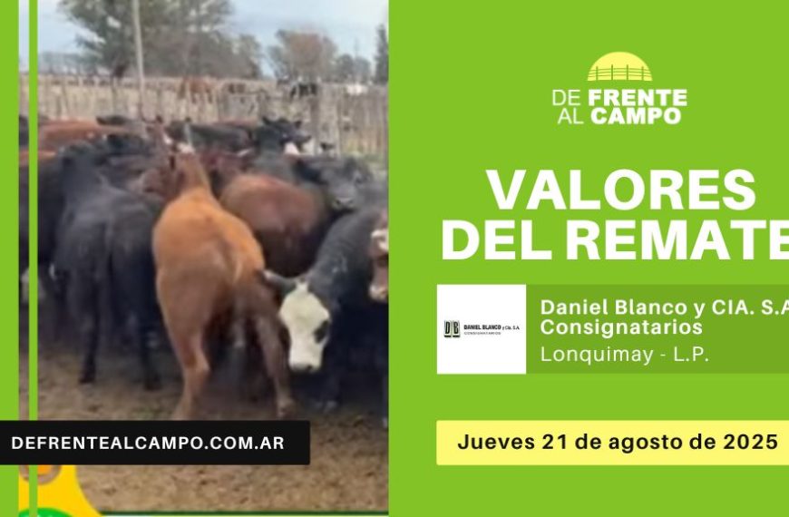 Valores del remate de Daniel Blanco y CIA S.A. | Lonquimay, La Pampa | jueves 21/08/2025