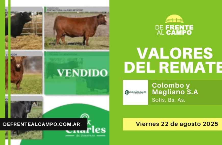 Valores del remate de Colombo y Magliano S.A. | Solis, Bs. As. | Viernes 22/08/2025