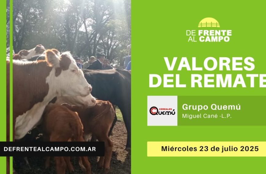 Valores del remate de Grupo Quemú | Miguel Cané, La Pampa | Miércoles 23/07/2025