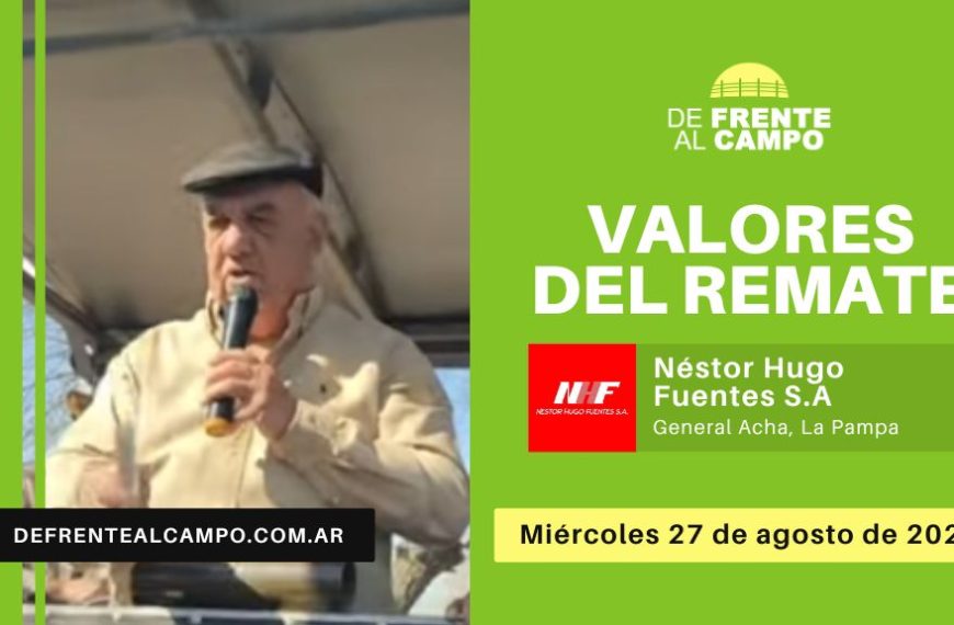 Valores del remate de Néstor H. Fuentes S.A. | General Acha, La Pampa | Miércoles 27/08/2025