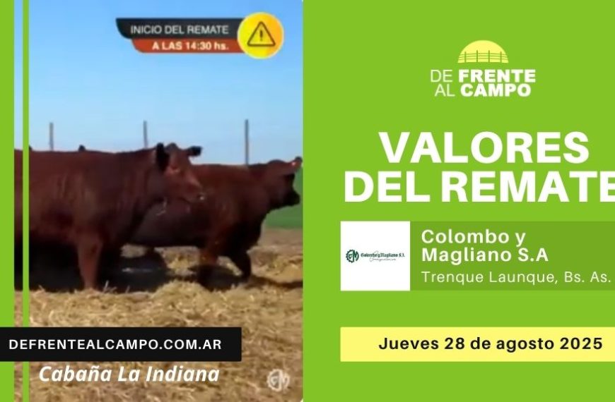 Valores del remate de Colombo y Magliano – Cabaña La Indiana | Trenque Launque, Prov. Bs. As. | Jueves 28/08/2025
