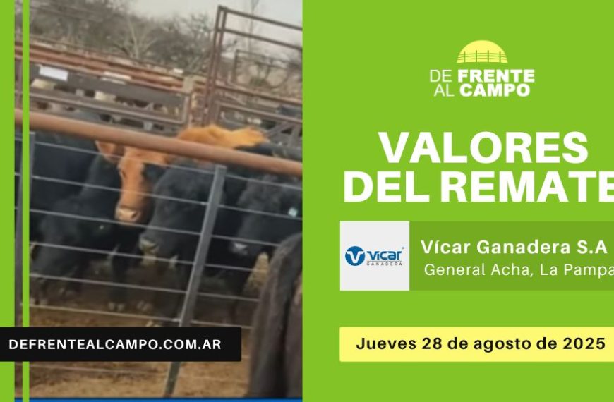 Valores del remate de Vicar Ganadera S.A. | General Acha, La Pampa | Jueves 28/08/2025