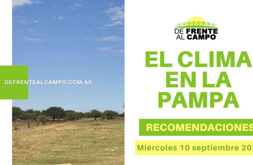 Alerta por viento en La Pampa: Ráfagas fuertes y amplitud térmica de 5 °C a 24 °C (Miércoles 10 septiembre 2025)