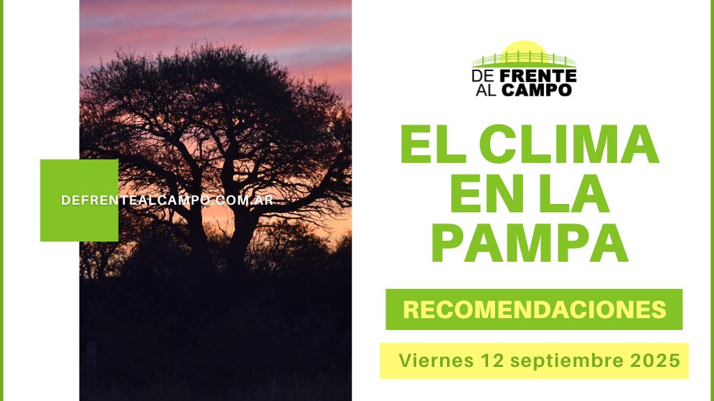 Clima en La Pampa este viernes 12/9: Jornada soleada máx. de 27 °C, viento con ráfagas +50 km/h, humedad hasta 67 % y finde más fresco y nublado