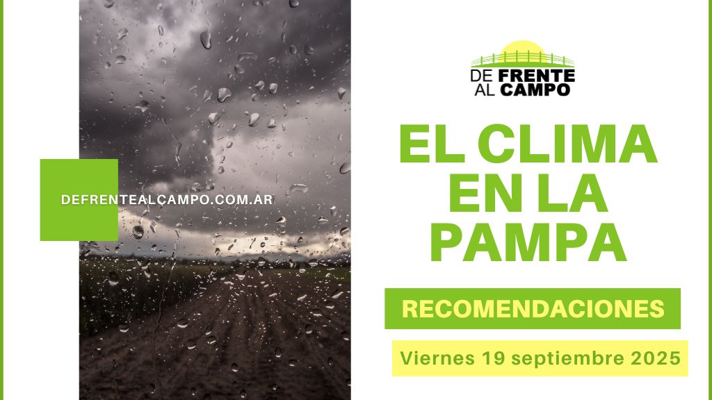 Clima en La Pampa: 11 °C / 24 °C, humedad al 100 %, lluvias y tormentas; fin de semana fresco e inestable con chaparrones (Viernes 19 de septiembre 2025)