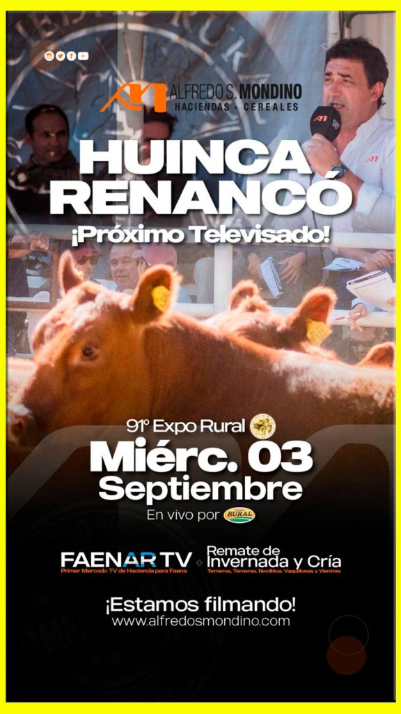 Remate feria Mondino Huinca Renancó 03 septiembre 2025 con invernada y cría transmitido en vivo por Canal Rural.