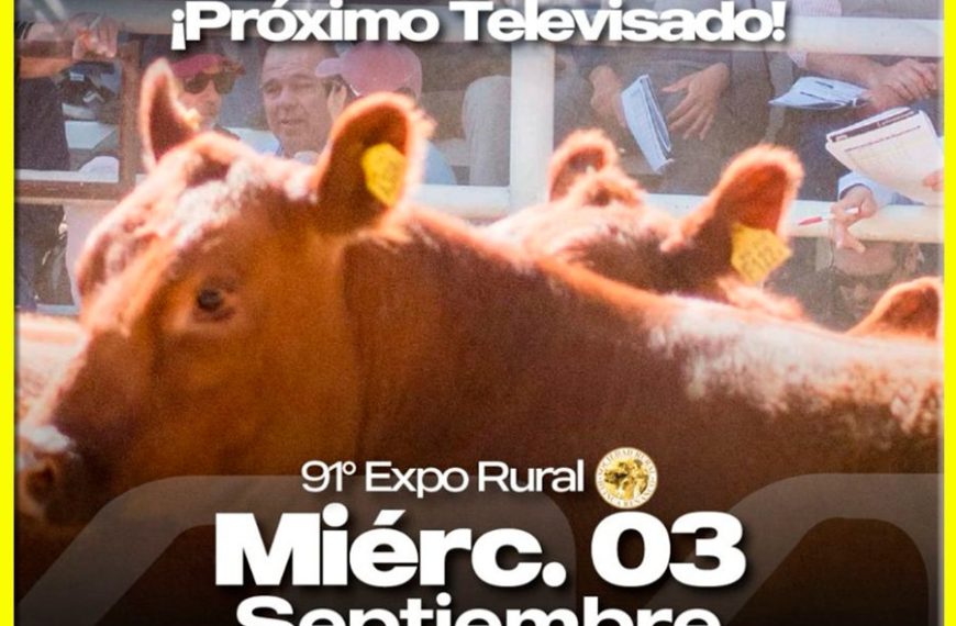 Alfredo S. Mondino | Huinca Renancó | Próximo Remate Feria el miércoles 03 de septiembre de 2025