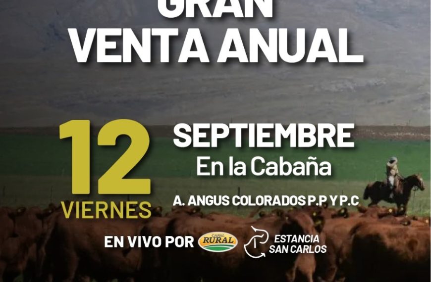 Alfredo S. Mondino | Estancia San Carlos | Próximo Remate Feria el viernes 12 de septiembre de 2025