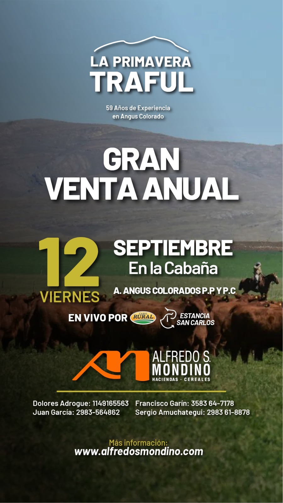 Alfredo S. Mondino | Estancia San Carlos | Próximo Remate Feria el viernes 12 de septiembre de 2025