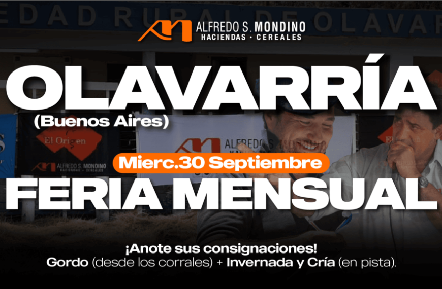 Alfredo S. Mondino | Olavarría | Próximo Remate Feria el martes 30 de septiembre de 2025