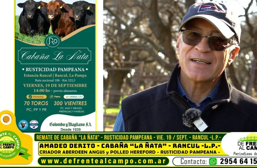 Entrevista: Amadeo Derito y la genética de Cabaña La Ñata rumbo al remate Rusticidad Pampeana