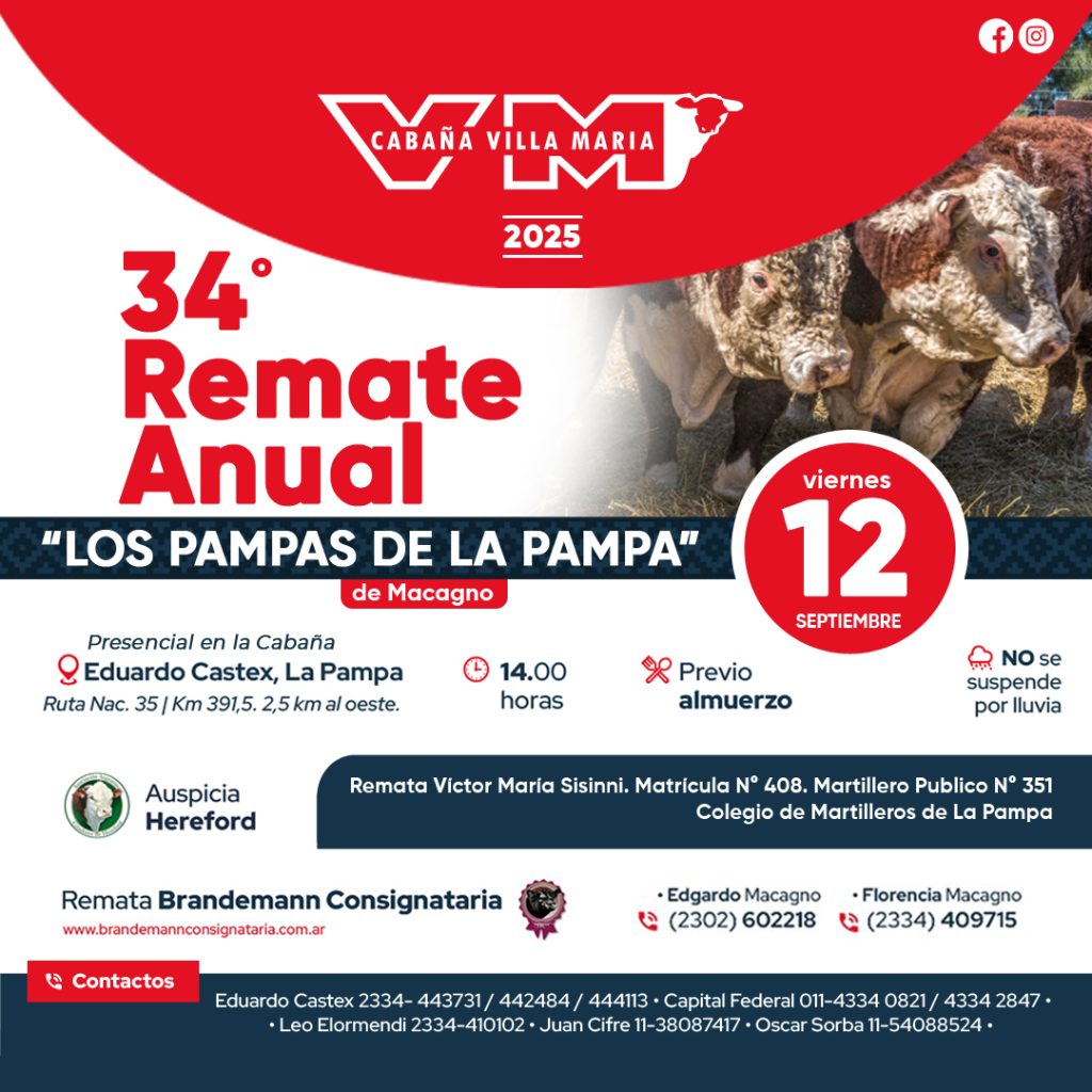 Remate feria Brandemann Castex 12 septiembre 2025 con hacienda Hereford y Angus en Cabaña Villa María.