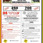 Brandemann Consignataria | Eduardo Castex | Próximo Remate Feria el sábado 13 de septiembre de 2025