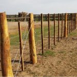 La Pampa aumentó los créditos para puesteros del oeste provincial hasta $10 millones