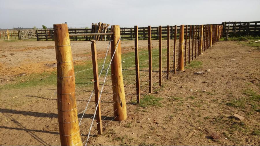 La Pampa aumentó los créditos para puesteros del oeste provincial hasta $10 millones