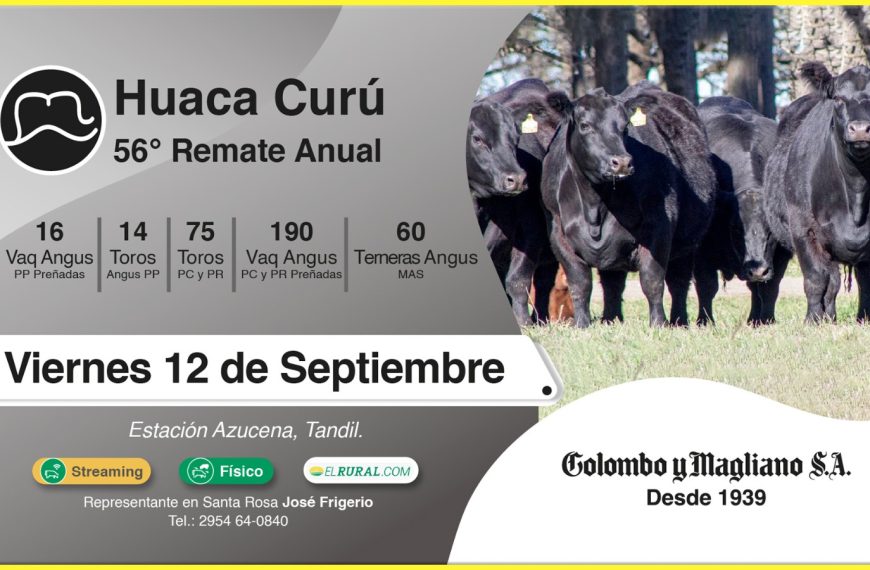 Colombo y Magliano S.A. | Estación Azucena, Tandil | Próximo Remate Feria el viernes 12 de septiembre de 2025