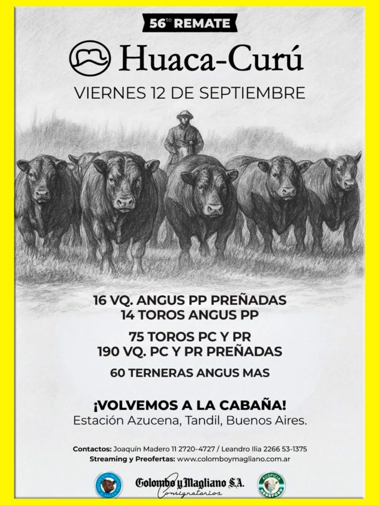 Remate feria Huaca Curú 12 septiembre 2025 en Tandil con Colombo y Magliano S.A., subasta de hacienda Angus física y online