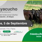 Colombo y Magliano S.A. | Ayacucho | Próximo Remate Feria el Viernes 5 de Septiembre de 2025