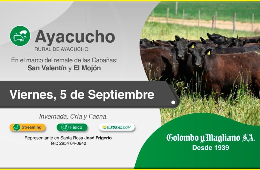 Colombo y Magliano S.A. | Ayacucho | Próximo Remate Feria el Viernes 5 de Septiembre de 2025
