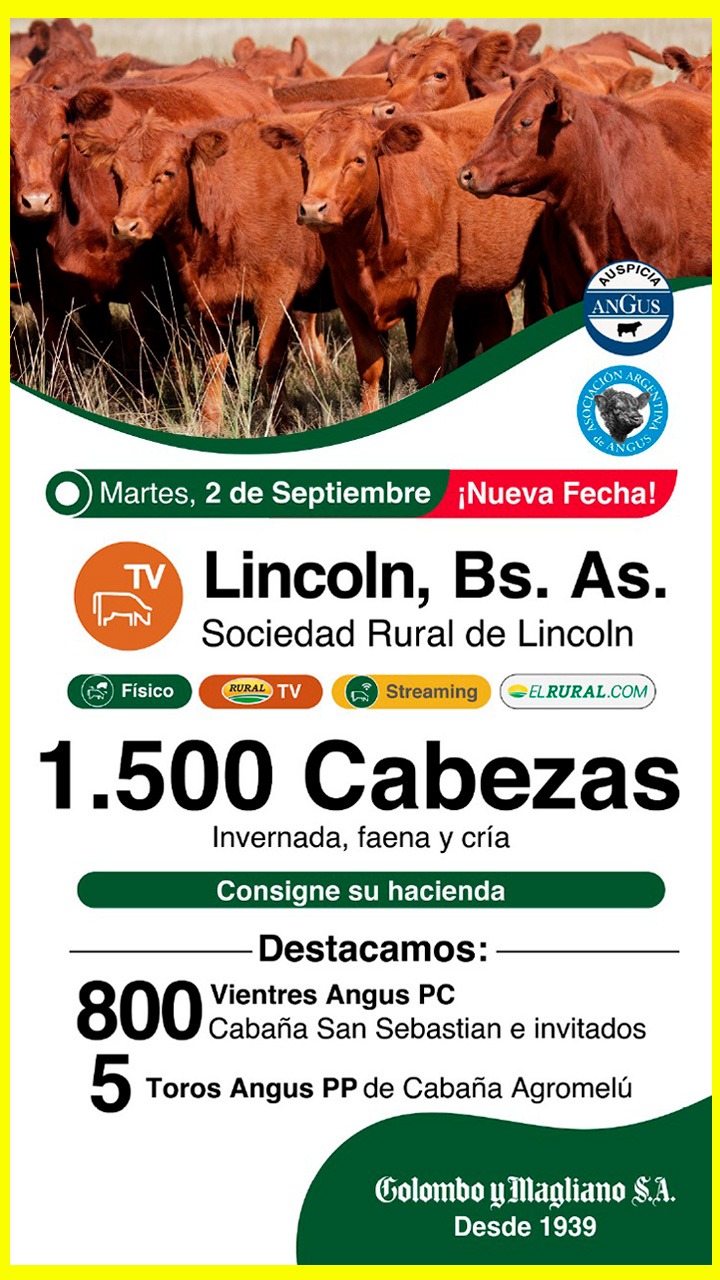 Colombo y Magliano S.A. | Lincoln (Bs. As.) | Próximo Remate Feria el martes 2 de septiembre de 2025
