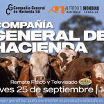 Alfredo S. Mondino | Canal Rural | Próximo Remate Feria el jueves 25 de septiembre de 2025