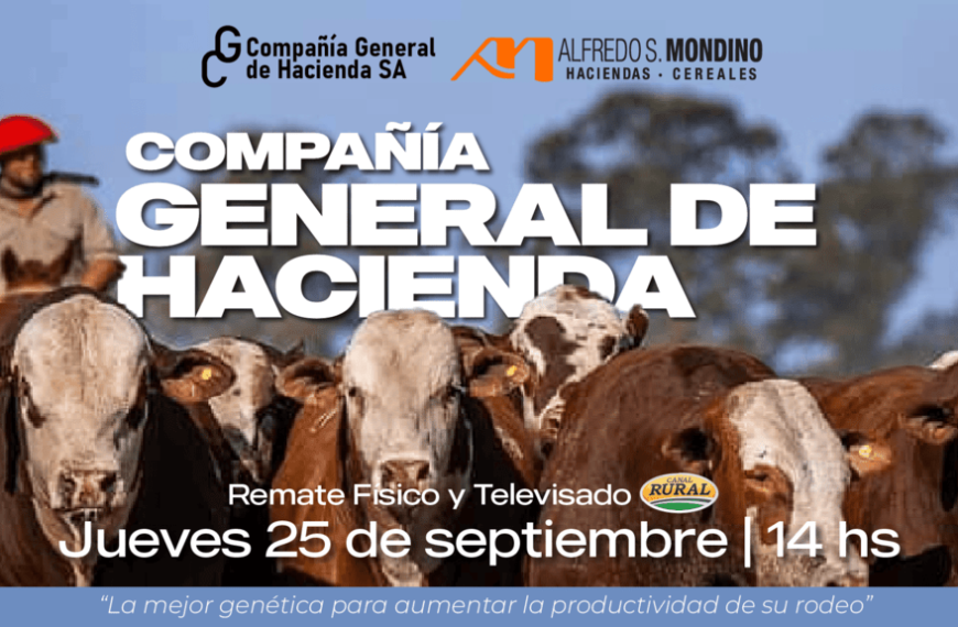 Alfredo S. Mondino | Canal Rural | Próximo Remate Feria el jueves 25 de septiembre de 2025