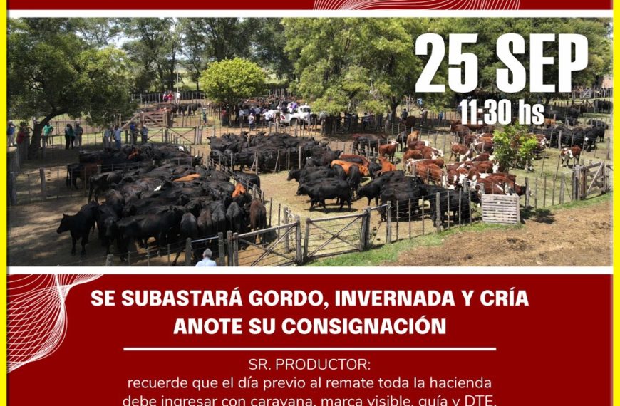 Daniel Blanco y Cía. S.A. | Lonquimay | Próximo Remate Feria el jueves 25 de septiembre de 2025