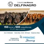 Delfinagro | Azul | Próximo Remate Feria el Martes 9 de septiembre de 2025
