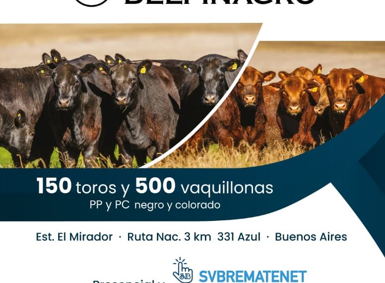 Delfinagro | Azul | Próximo Remate Feria el Martes 9 de septiembre de 2025