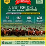 Don Benjamín | Saldungaray | Próximo Remate Feria el Jueves 11 de septiembre de 2025