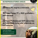Ferias Rodeo Huinca | Huinca Renancó | Próximo Remate Feria el viernes 26 de septiembre de 2025