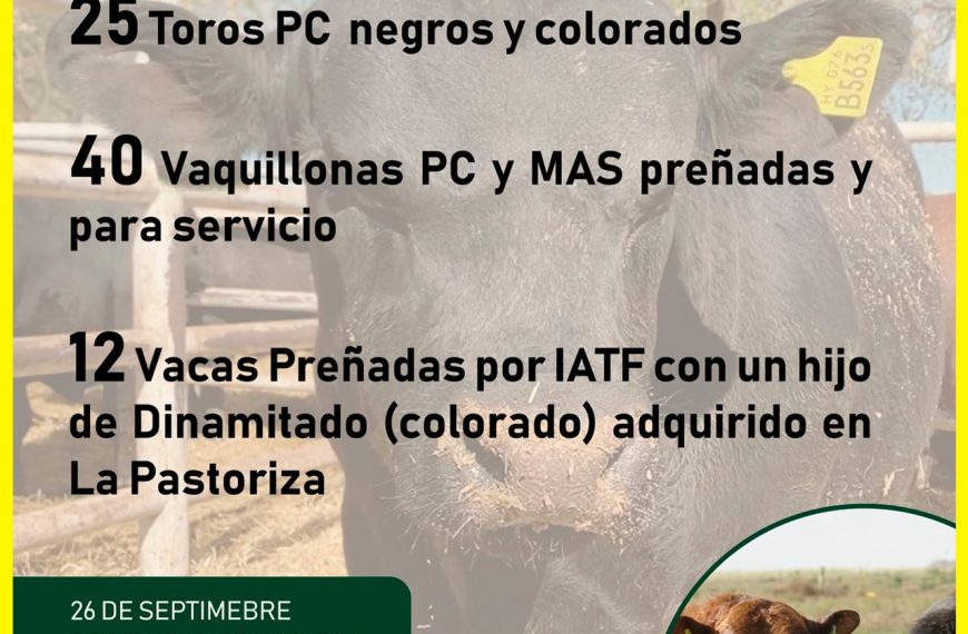 Ferias Rodeo Huinca | Huinca Renancó | Próximo Remate Feria el viernes 26 de septiembre de 2025