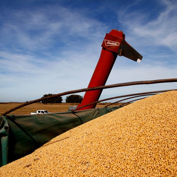 Exportaciones agroindustriales argentinas crecieron 6% en volumen durante los primeros siete meses de 2025