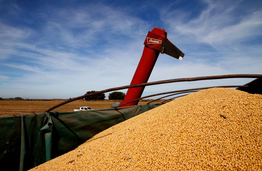 Exportaciones agroindustriales argentinas crecieron 6% en volumen durante los primeros siete meses de 2025