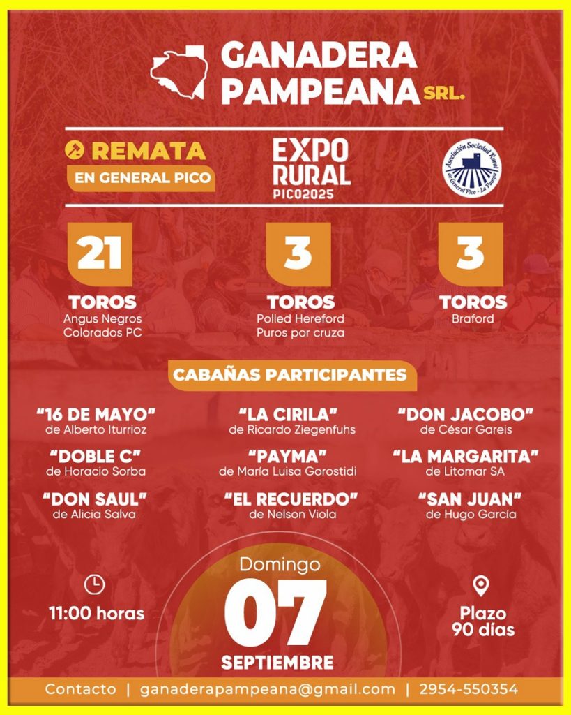 Remate feria Ganadera Pampeana General Pico 7 septiembre 2025 con toros Angus, Hereford y Braford