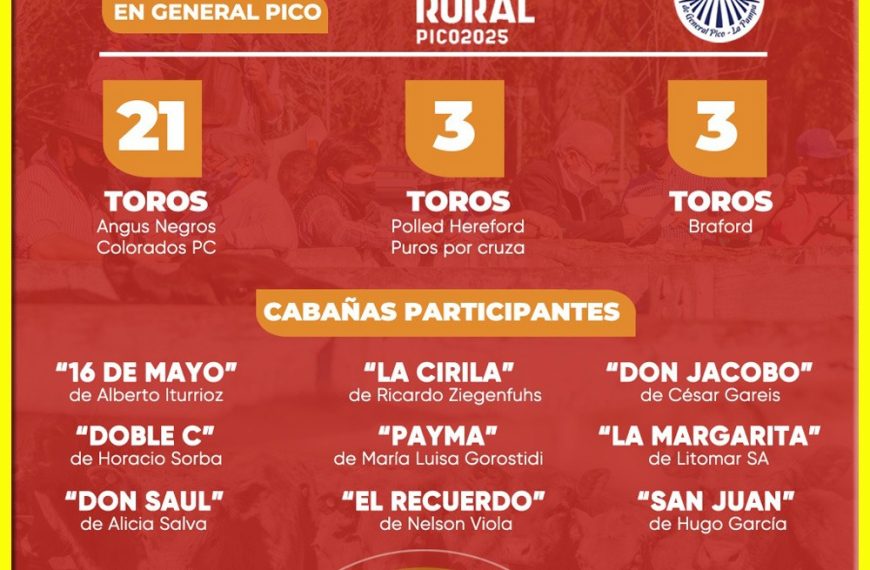 Remate feria Ganadera Pampeana General Pico 7 septiembre 2025 con toros Angus, Hereford y Braford