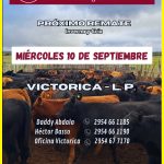 Ganaderos de Elordi S.A. | Victorica (La Pampa) | Próximo Remate Feria el Miércoles 10 de septiembre de 2025